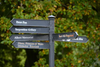 DSC_0542 (Large).JPG